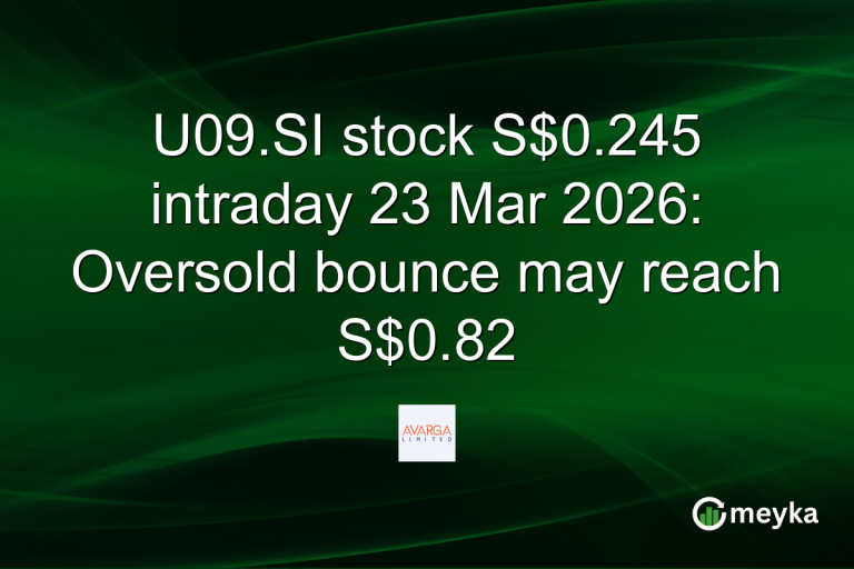U09.SI stock S$0.245 intraday 23 Mar 2026: Oversold bounce may reach S$0.82