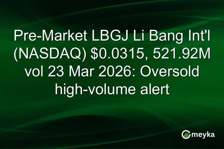 Pre-Market LBGJ Li Bang Int'l (NASDAQ) $0.0315, 521.92M vol 23 Mar 2026: Oversold high-volume alert