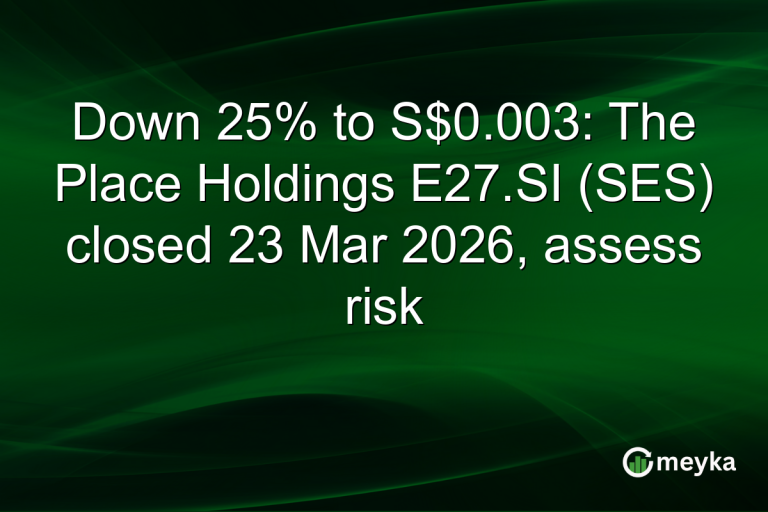 Down 25% to S$0.003: The Place Holdings E27.SI (SES) closed 23 Mar 2026, assess risk