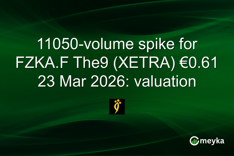 11050-volume spike for FZKA.F The9 (XETRA) €0.61 23 Mar 2026: valuation