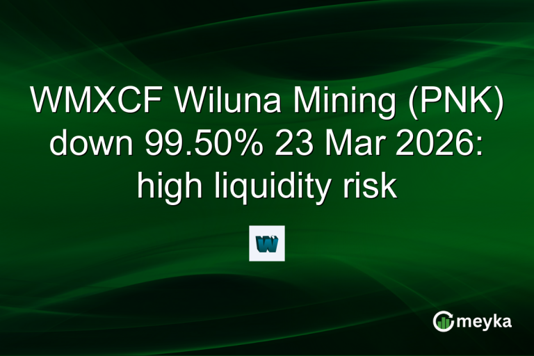 WMXCF Wiluna Mining (PNK) down 99.50% 23 Mar 2026: high liquidity risk