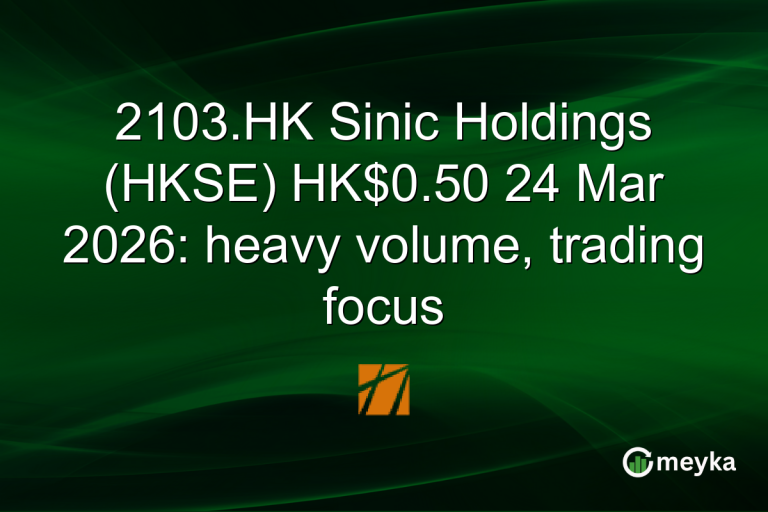 2103.HK Sinic Holdings (HKSE) HK$0.50 24 Mar 2026: heavy volume, trading focus