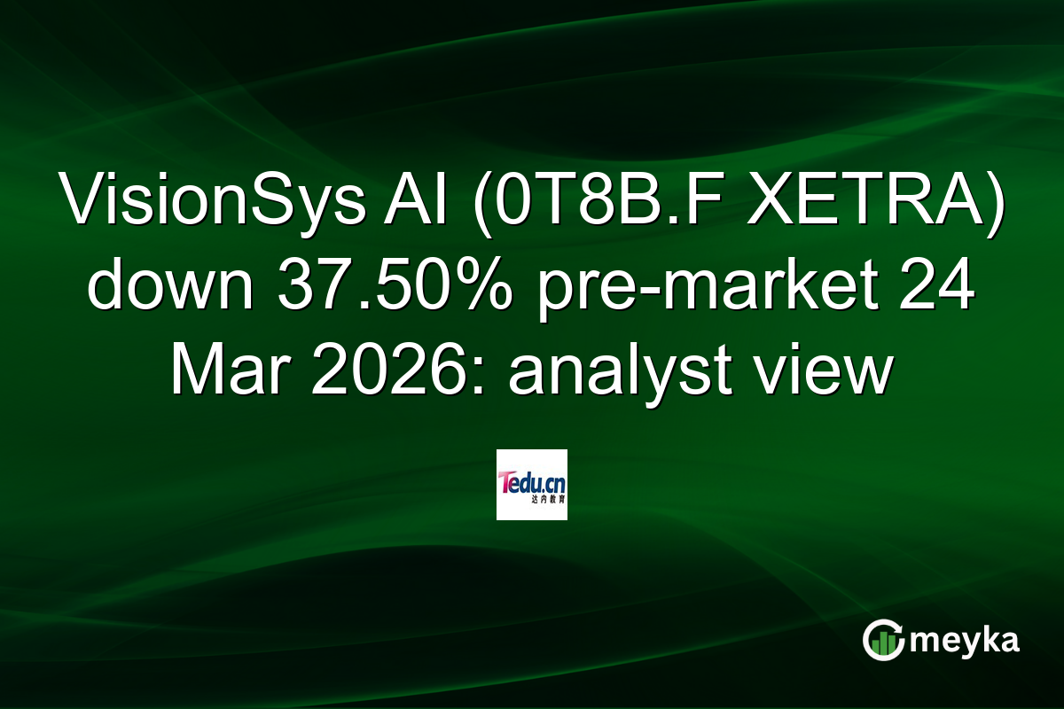 VisionSys AI (0T8B.F XETRA) down 37.50% pre-market 24 Mar 2026: analyst view
