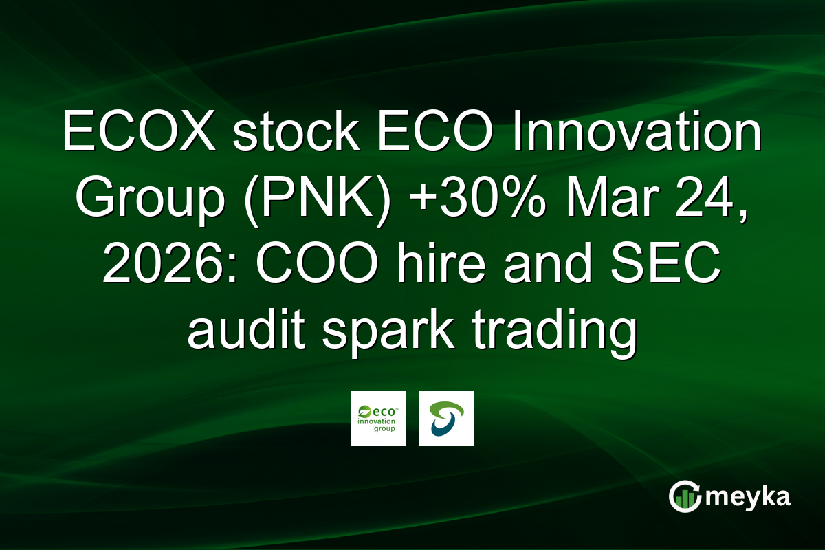 ECOX stock ECO Innovation Group (PNK) +30% Mar 24, 2026: COO hire and SEC audit spark trading