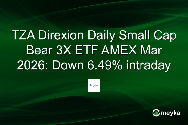 TZA Direxion Daily Small Cap Bear 3X ETF AMEX Mar 2026: Down 6.49% intraday