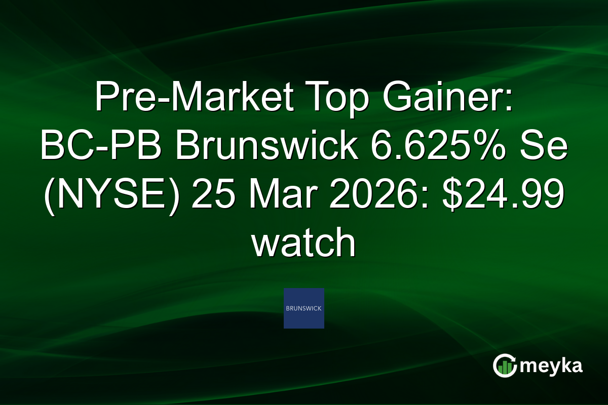 Pre-Market Top Gainer: BC-PB Brunswick 6.625% Se (NYSE) 25 Mar 2026: $24.99 watch
