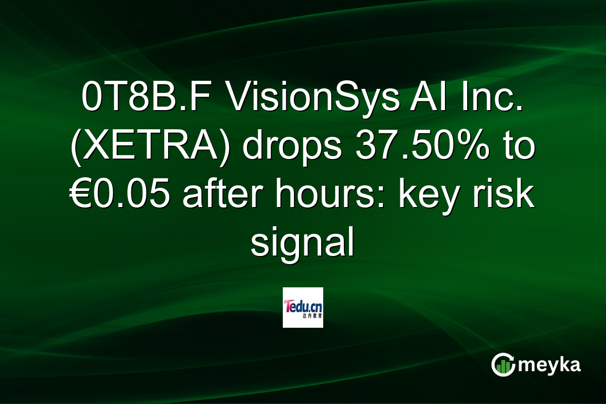 0T8B.F VisionSys AI Inc. (XETRA) drops 37.50% to €0.05 after hours: key risk signal