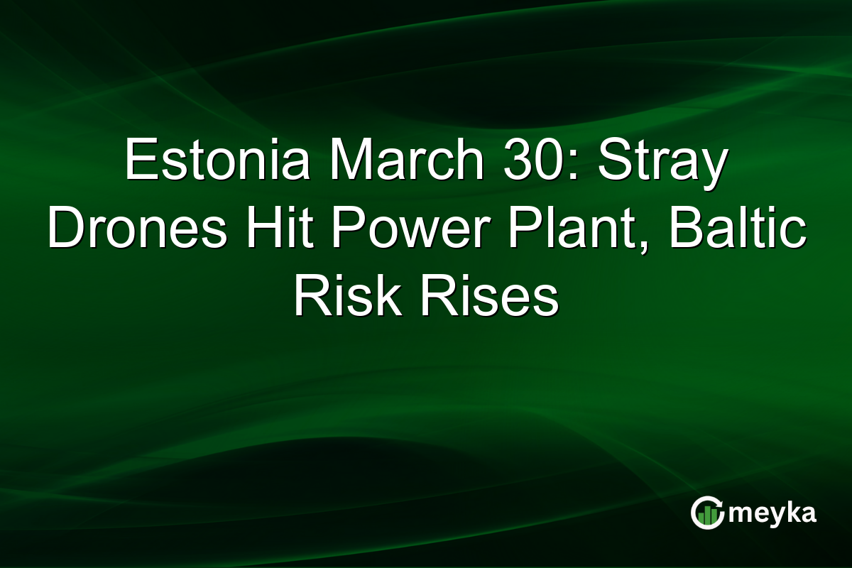 Estonia March 30: Stray Drones Hit Power Plant, Baltic Risk Rises