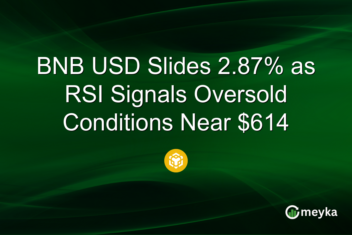 BNB USD Slides 2.87% as RSI Signals Oversold Conditions Near $614
