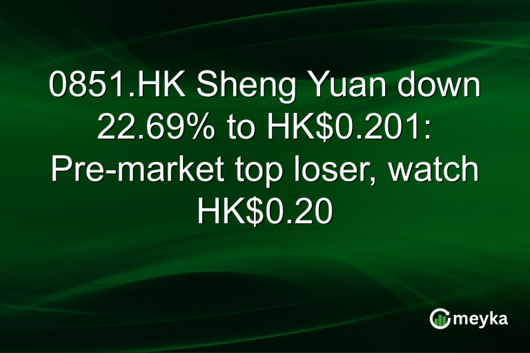 0851.HK Sheng Yuan down 22.69% to HK$0.201: Pre-market top loser, watch HK$0.20