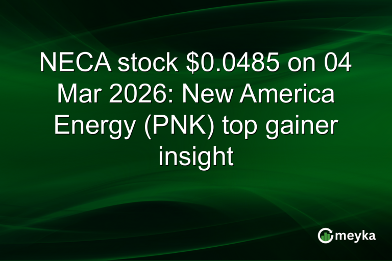 NECA stock $0.0485 on 04 Mar 2026: New America Energy (PNK) top gainer insight
