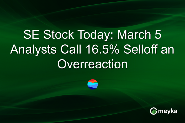 SE Stock Today: March 5 Analysts Call 16.5% Selloff an Overreaction