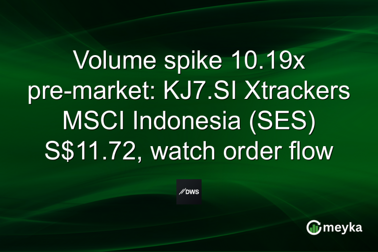 Volume spike 10.19x pre-market: KJ7.SI Xtrackers MSCI Indonesia (SES) S$11.72, watch order flow