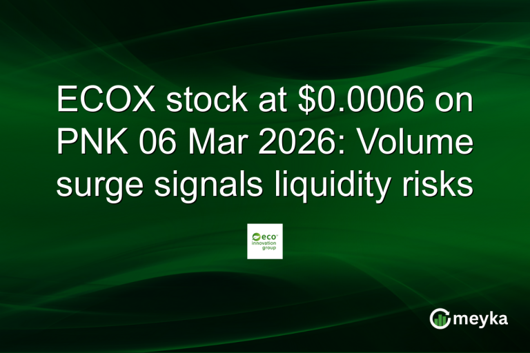 ECOX stock at $0.0006 on PNK 06 Mar 2026: Volume surge signals liquidity risks