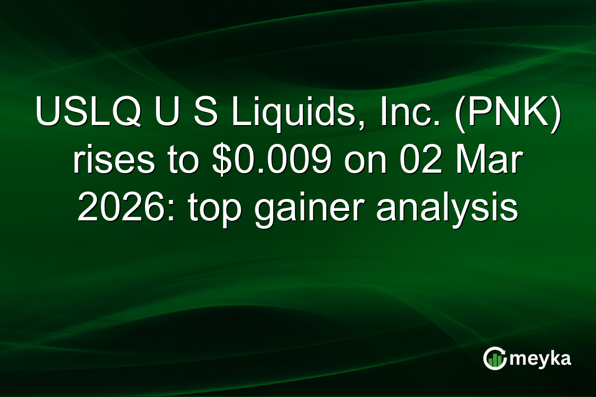 USLQ U S Liquids, Inc. (PNK) rises to $0.009 on 02 Mar 2026: top gainer analysis