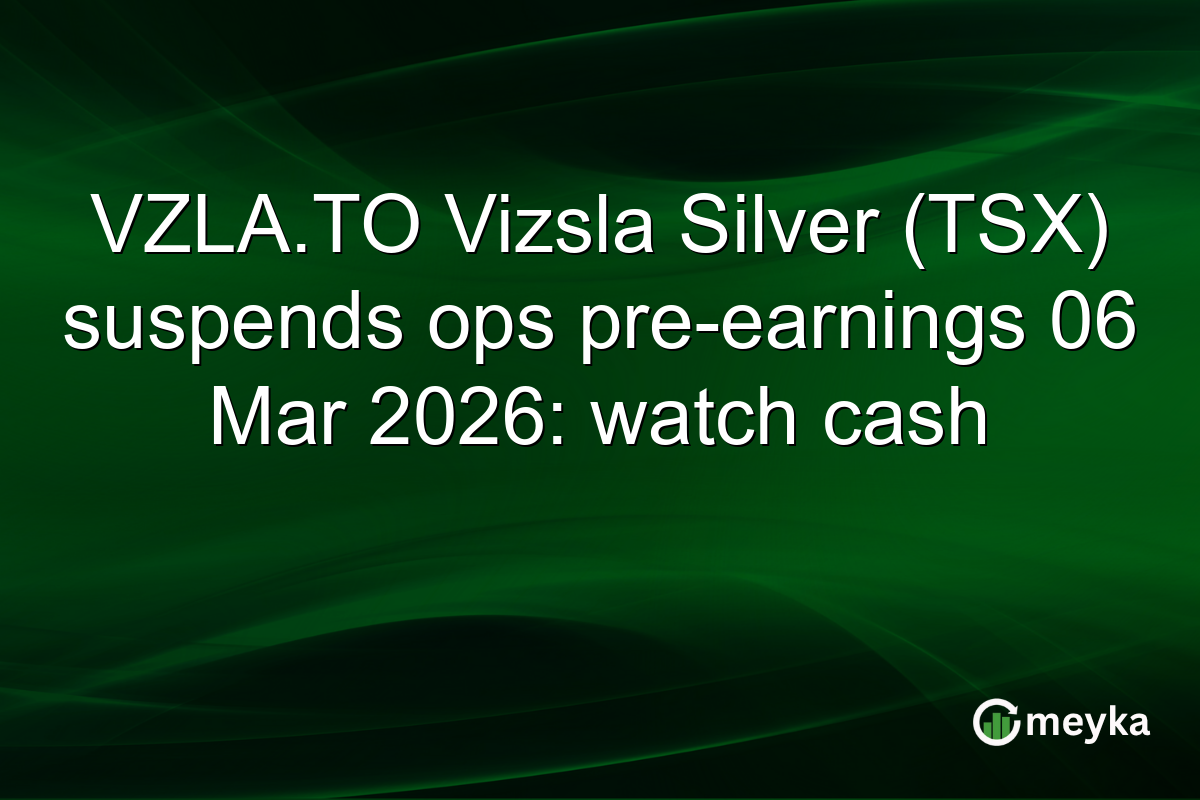 VZLA.TO Vizsla Silver (TSX) suspends ops pre-earnings 06 Mar 2026: watch cash