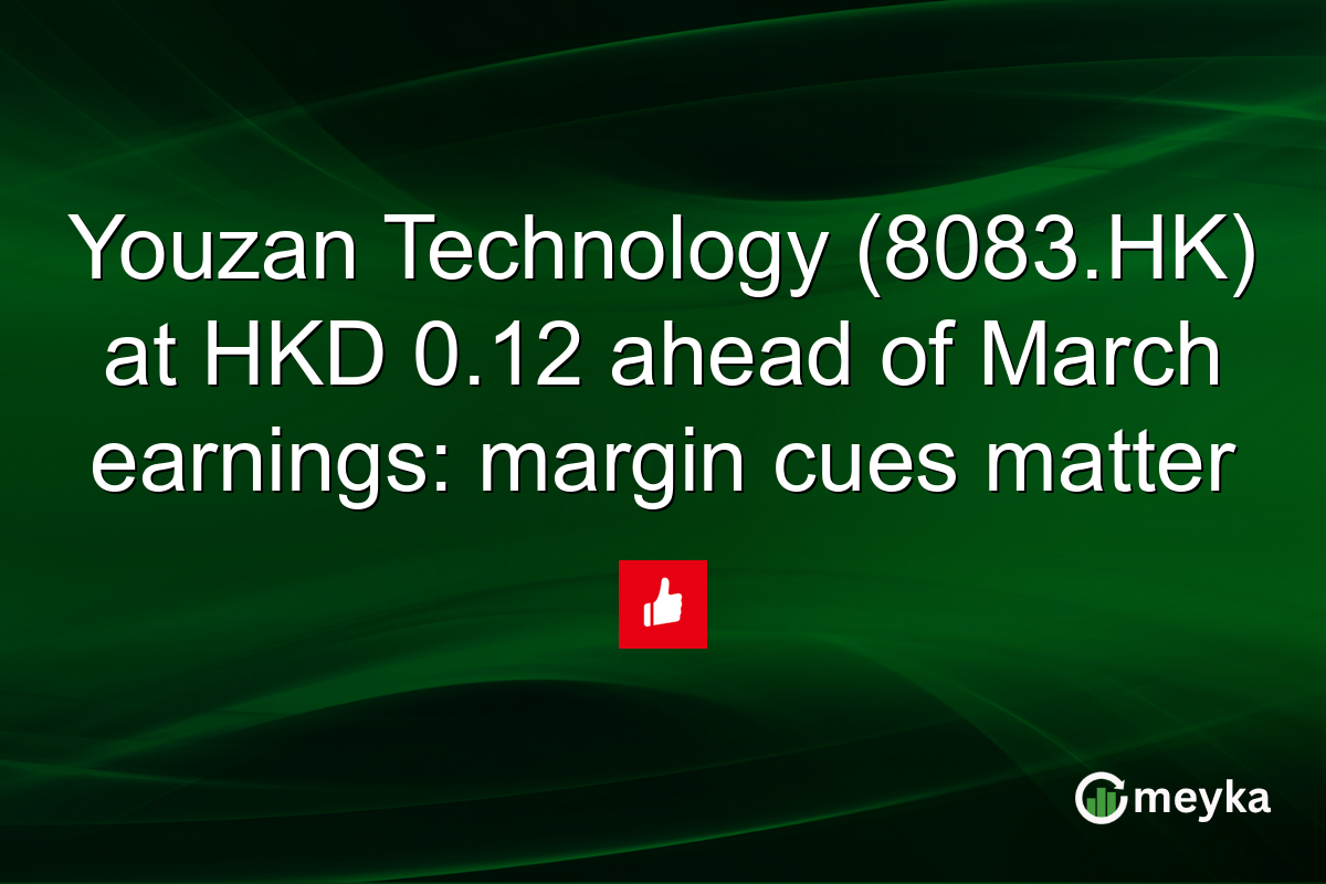 Youzan Technology (8083.HK) at HKD 0.12 ahead of March earnings: margin cues matter