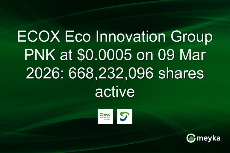 ECOX Eco Innovation Group PNK at $0.0005 on 09 Mar 2026: 668,232,096 shares active
