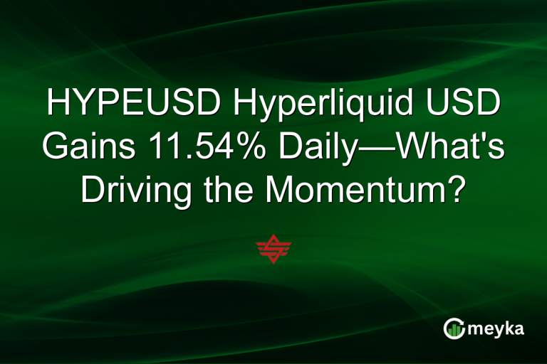 HYPEUSD Hyperliquid USD Gains 11.54% Daily—What's Driving the Momentum?