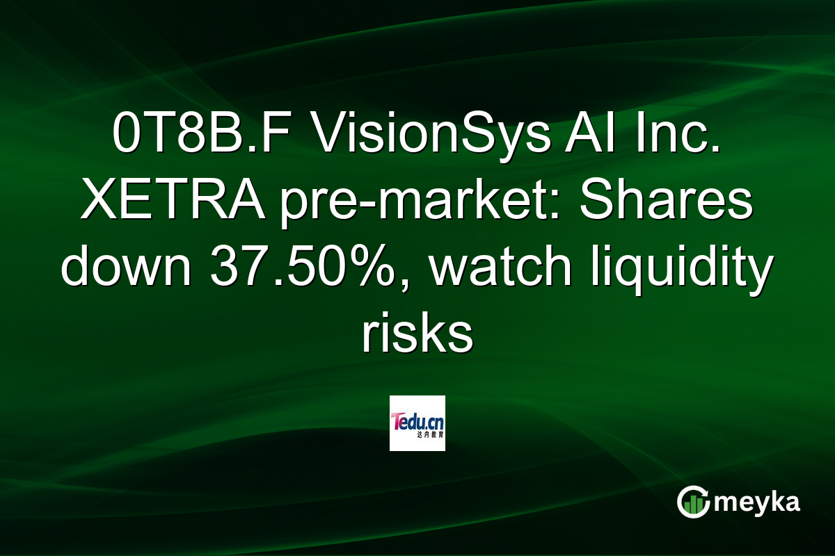0T8B.F VisionSys AI Inc. XETRA pre-market: Shares down 37.50%, watch liquidity risks