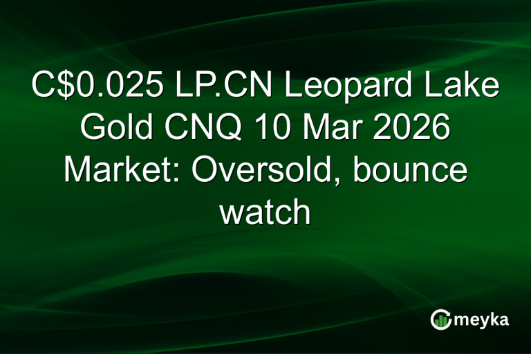 C$0.025 LP.CN Leopard Lake Gold CNQ 10 Mar 2026 Market: Oversold, bounce watch