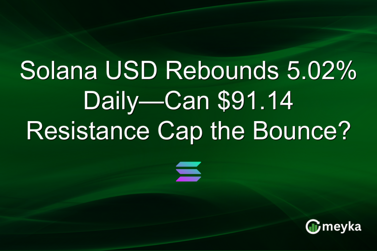 Solana USD Rebounds 5.02% Daily—Can $91.14 Resistance Cap the Bounce?