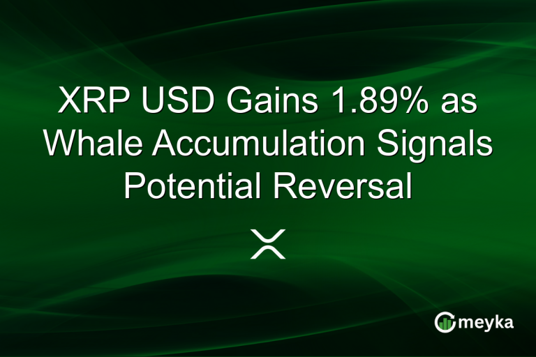 XRP USD Gains 1.89% as Whale Accumulation Signals Potential Reversal
