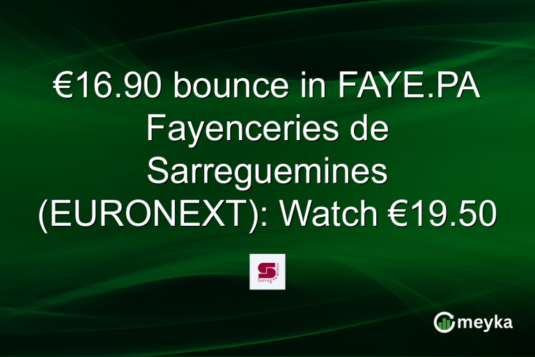 €16.90 bounce in FAYE.PA Fayenceries de Sarreguemines (EURONEXT): Watch €19.50