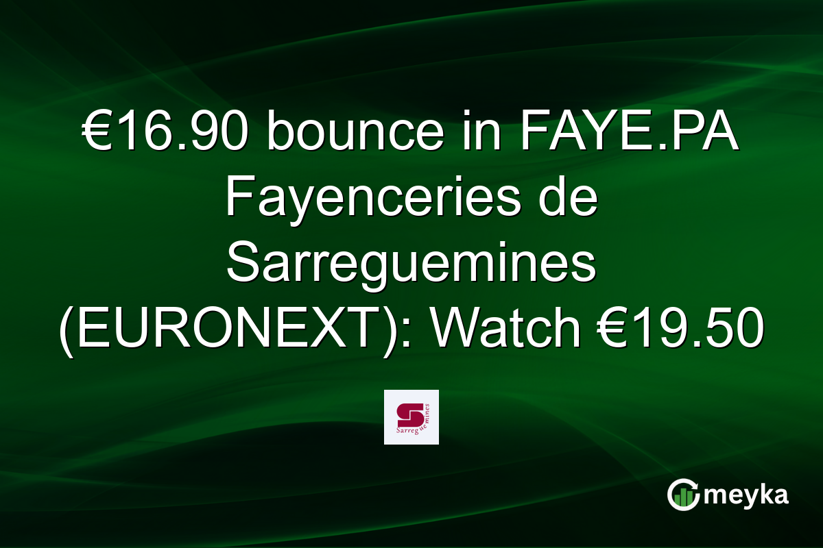 €16.90 bounce in FAYE.PA Fayenceries de Sarreguemines (EURONEXT): Watch €19.50