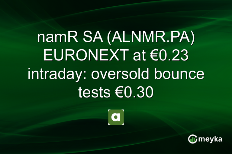 namR SA (ALNMR.PA) EURONEXT at €0.23 intraday: oversold bounce tests €0.30