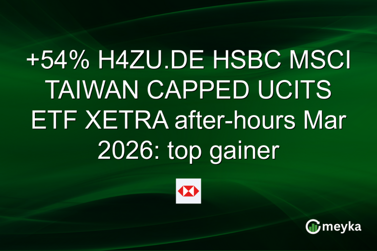 +54% H4ZU.DE HSBC MSCI TAIWAN CAPPED UCITS ETF XETRA after-hours Mar 2026: top gainer