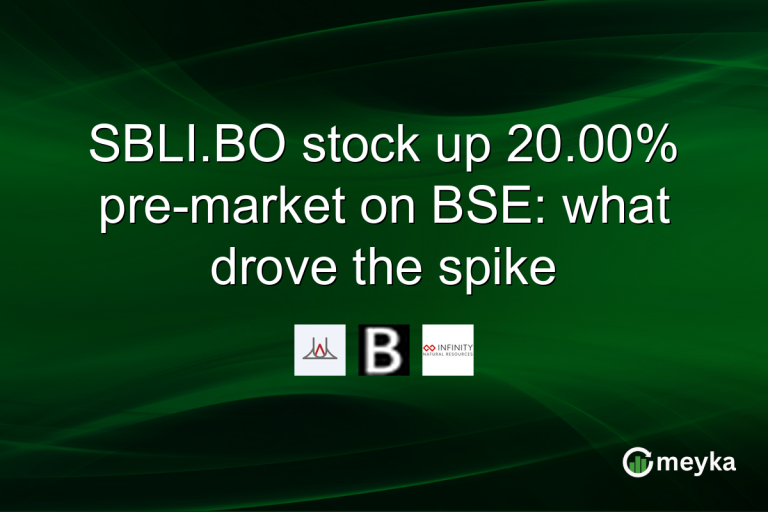 SBLI.BO stock up 20.00% pre-market on BSE: what drove the spike
