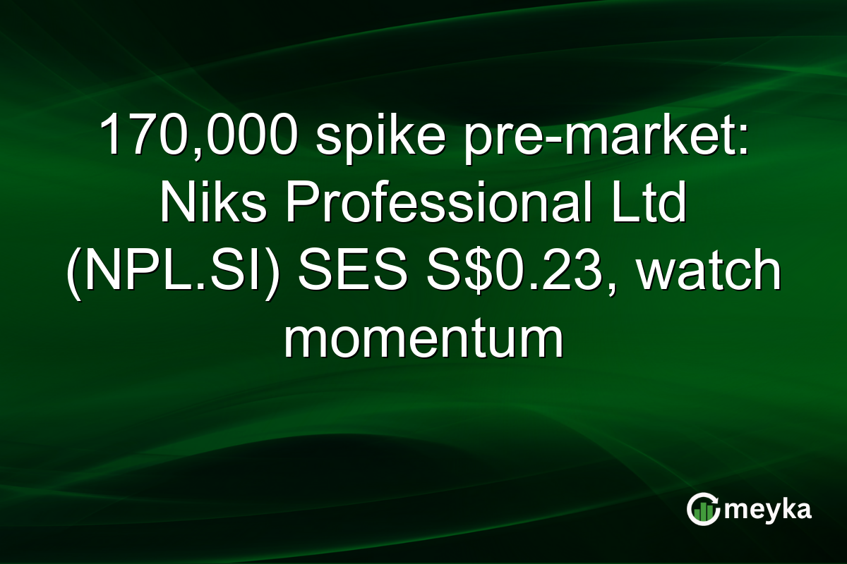 170,000 spike pre-market: Niks Professional Ltd (NPL.SI) SES S$0.23, watch momentum
