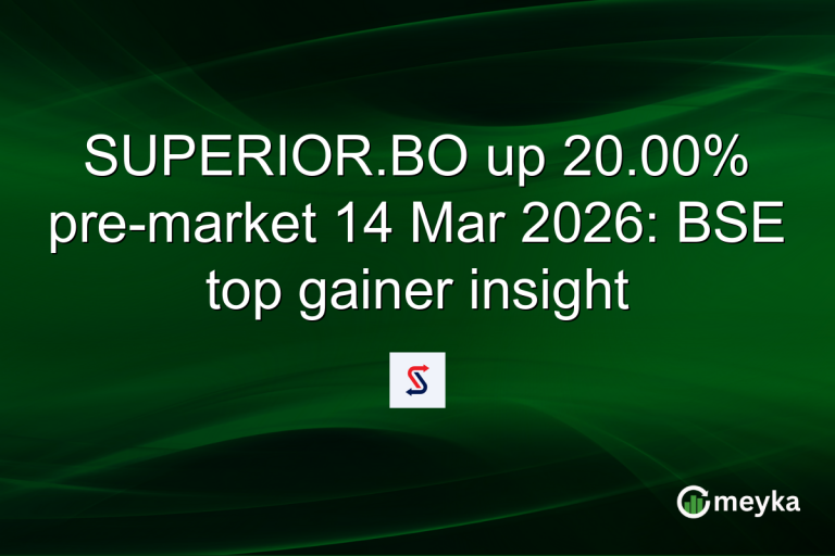 SUPERIOR.BO up 20.00% pre-market 14 Mar 2026: BSE top gainer insight