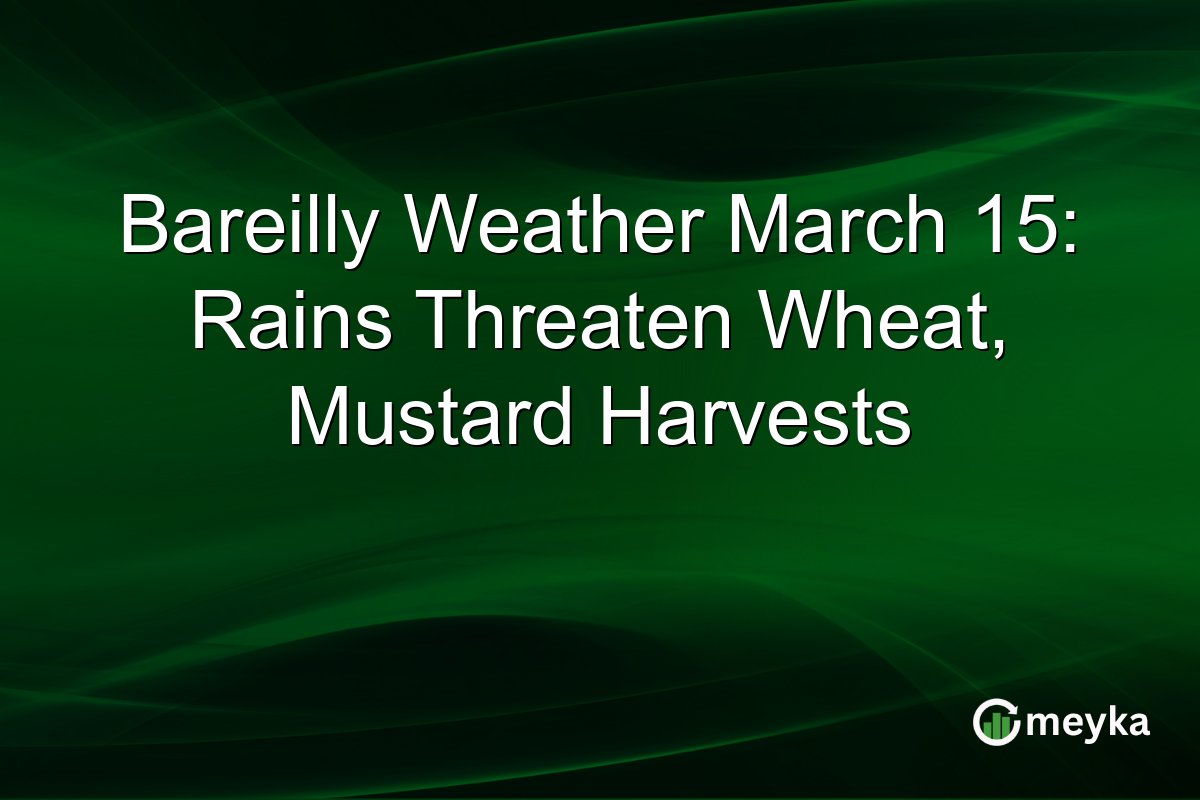 Bareilly Weather March 15: Rains Threaten Wheat, Mustard Harvests