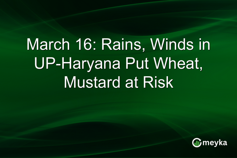 March 16: Rains, Winds in UP-Haryana Put Wheat, Mustard at Risk