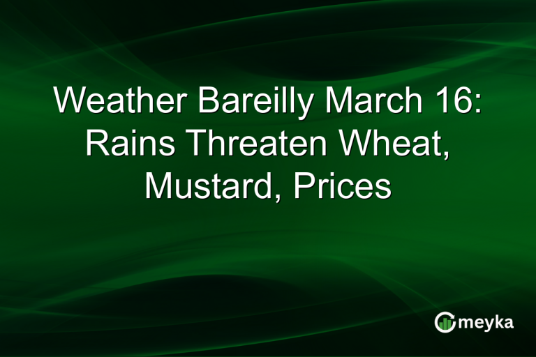 Weather Bareilly March 16: Rains Threaten Wheat, Mustard, Prices