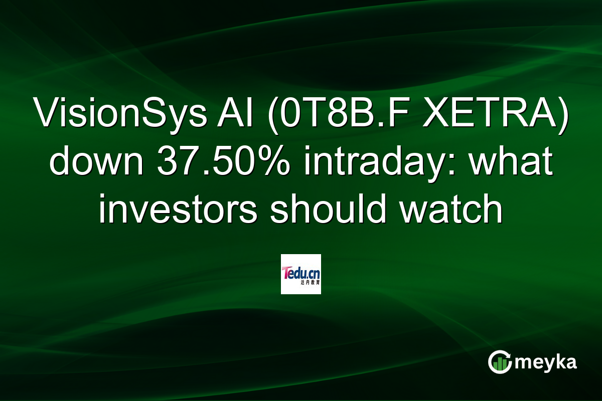 VisionSys AI (0T8B.F XETRA) down 37.50% intraday: what investors should watch