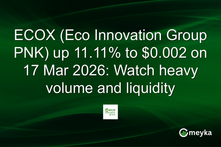 ECOX (Eco Innovation Group PNK) up 11.11% to $0.002 on 17 Mar 2026: Watch heavy volume and liquidity