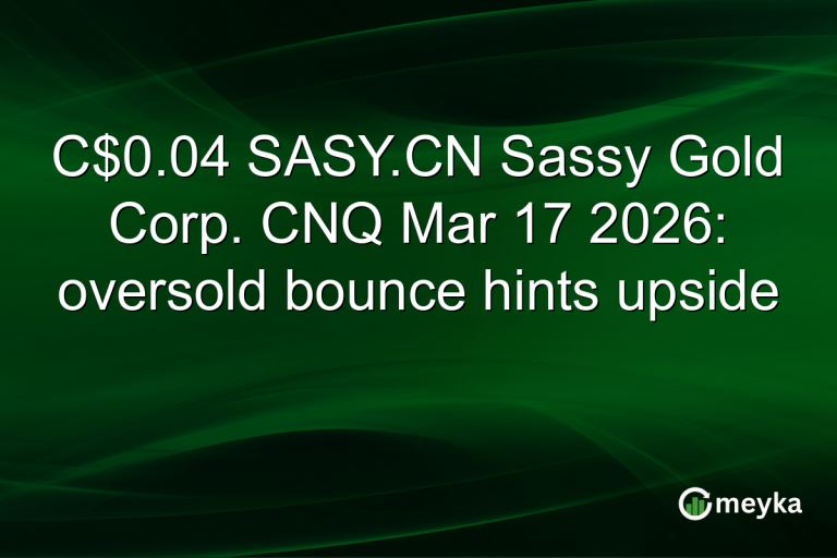 C$0.04 SASY.CN Sassy Gold Corp. CNQ Mar 17 2026: oversold bounce hints upside