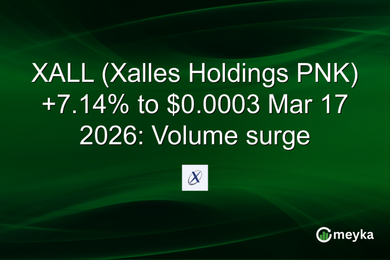 XALL (Xalles Holdings PNK) +7.14% to $0.0003 Mar 17 2026: Volume surge