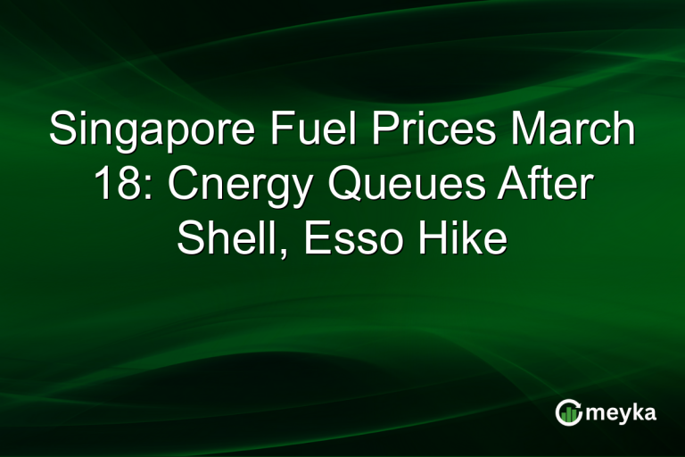 Singapore Fuel Prices March 18: Cnergy Queues After Shell, Esso Hike
