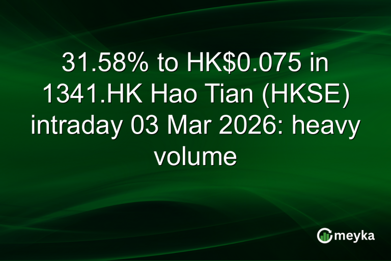 31.58% to HK$0.075 in 1341.HK Hao Tian (HKSE) intraday 03 Mar 2026: heavy volume