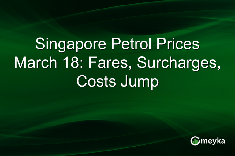 Singapore Petrol Prices March 18: Fares, Surcharges, Costs Jump