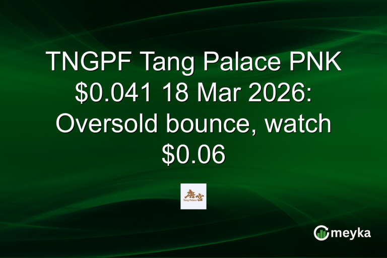 TNGPF Tang Palace PNK $0.041 18 Mar 2026: Oversold bounce, watch $0.06