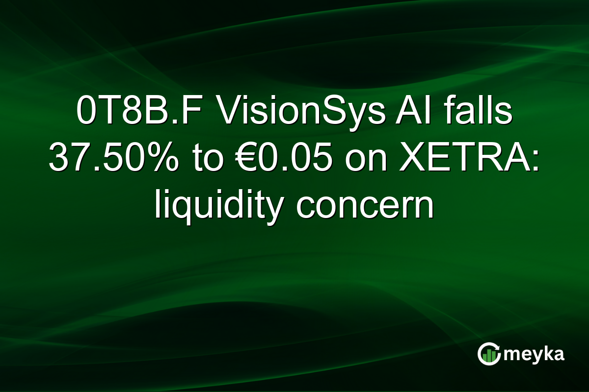 0T8B.F VisionSys AI falls 37.50% to €0.05 on XETRA: liquidity concern