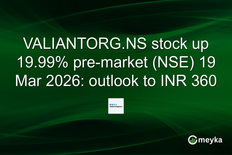VALIANTORG.NS stock up 19.99% pre-market (NSE) 19 Mar 2026: outlook to INR 360