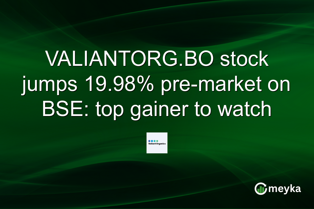 VALIANTORG.BO stock jumps 19.98% pre-market on BSE: top gainer to watch
