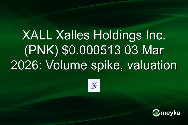 XALL Xalles Holdings Inc. (PNK) $0.000513 03 Mar 2026: Volume spike, valuation