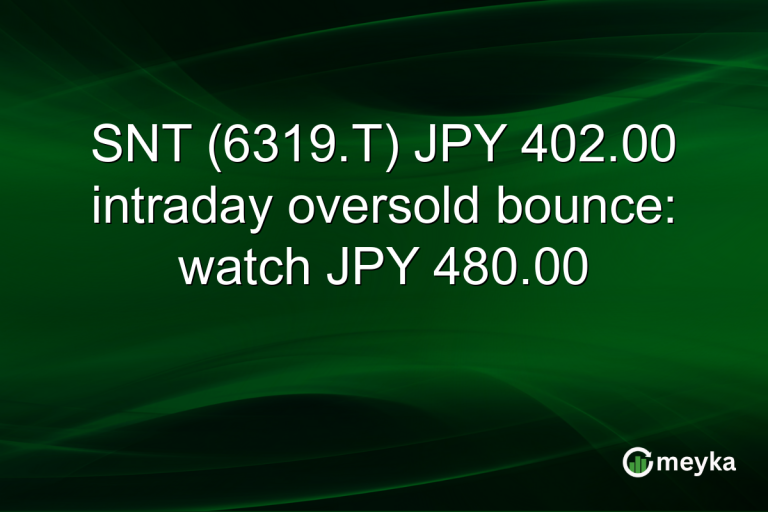 SNT (6319.T) JPY 402.00 intraday oversold bounce: watch JPY 480.00